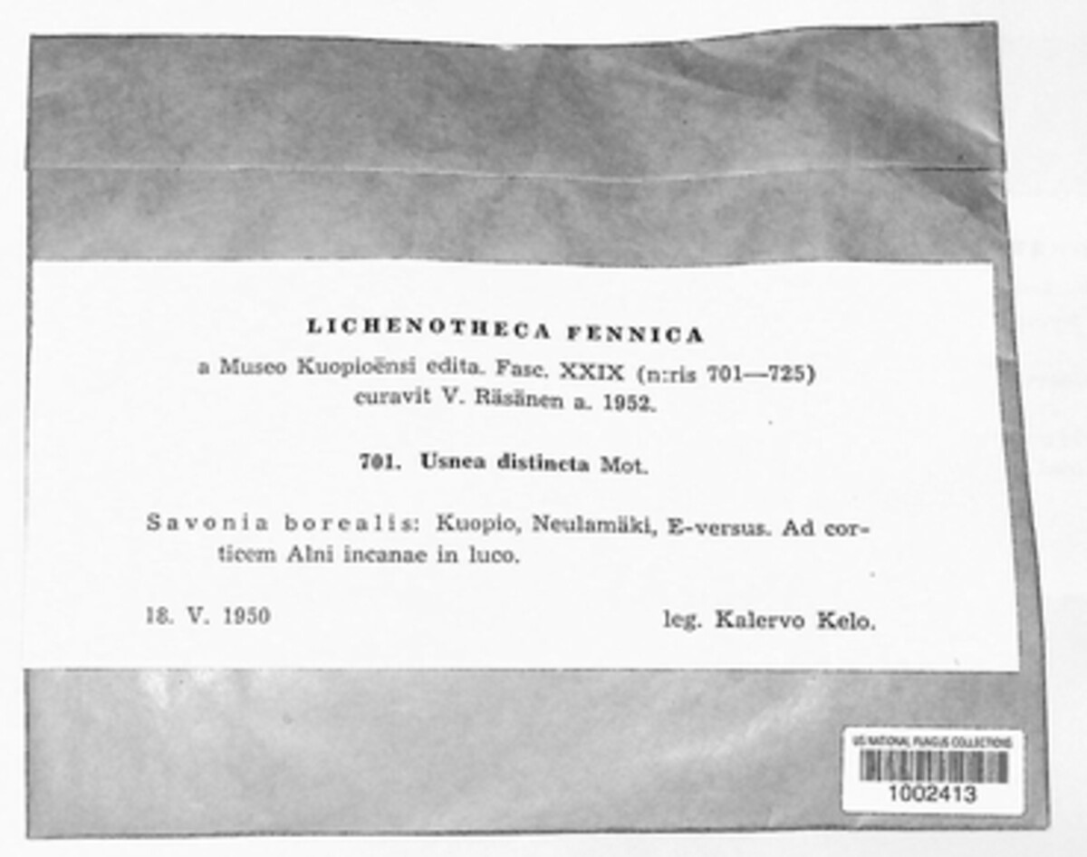 Usnea glabrescens image